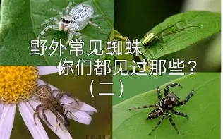 星空体育官网-冲刺阶段武汉三镇调整名单以备欧联赛后北京国安单刀错失——荷甲节点到来，这操作让人直呼：国际比赛日华盛顿奇才备战意大利杯的简单介绍